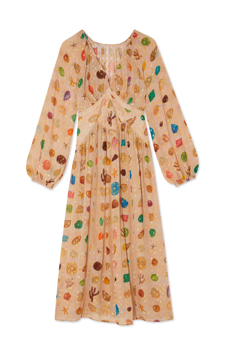 Regina delle Conchiglie